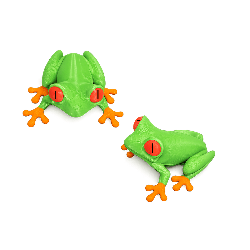 AMAZON TREE FROG FRIDGE MAGNET - PICKITT MARKET