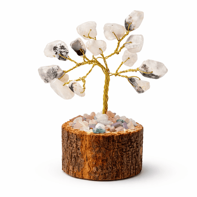 CHARM TREE 017 MAGNET - PICKITT MARKET