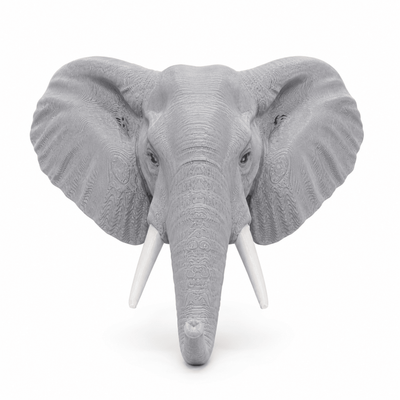 🐘 Elephant Head Fridge Magnet - PICKITT MARKET