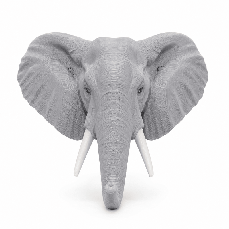 🐘 Elephant Head Fridge Magnet - PICKITT MARKET