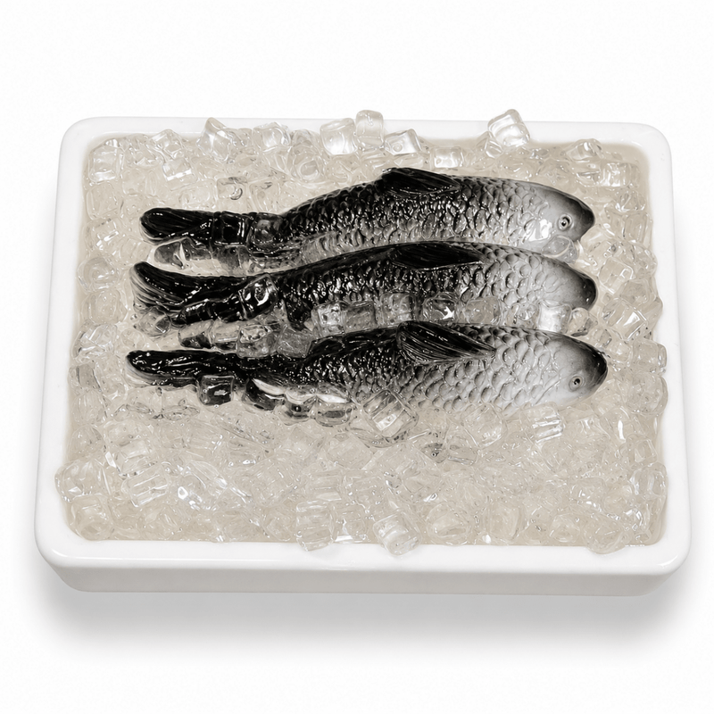 Fresh Fish Tray Fridge Magnet - PICKITT MARKET