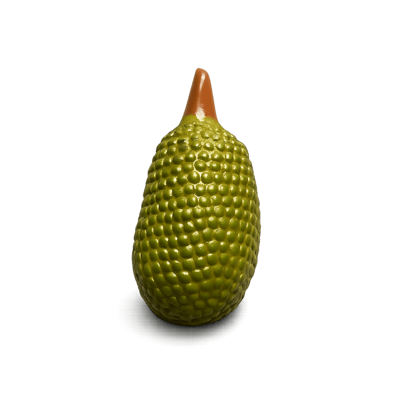 JACKFRUIT FRIDGE MAGNET - PICKITT MARKET