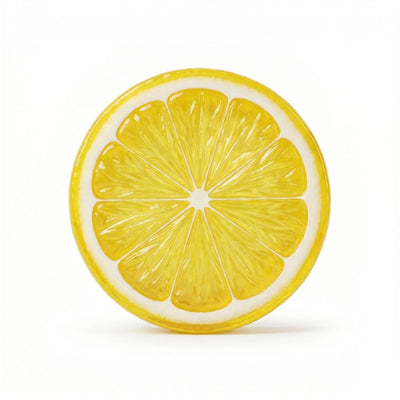 ORANGE SLICE FRIDGE MAGNET - PICKITT MARKET