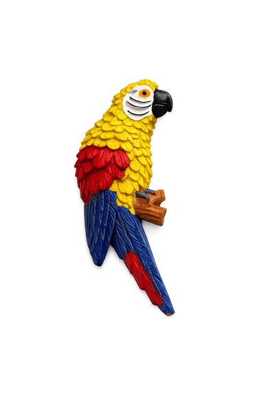 PARROT 01 FRIDGE MAGNET - PICKITT MARKET