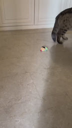CRAWLING SHINCHAIN