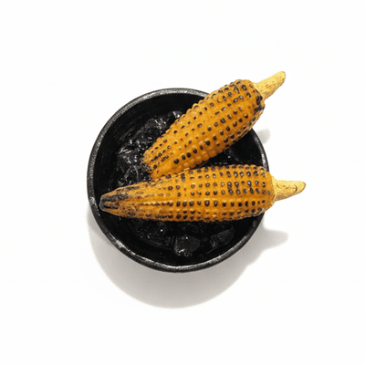 ROASTED CORN FRIDGE MAGNET - PICKITT MARKET