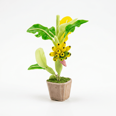 THAI BANANA FRIDGE MAGNET