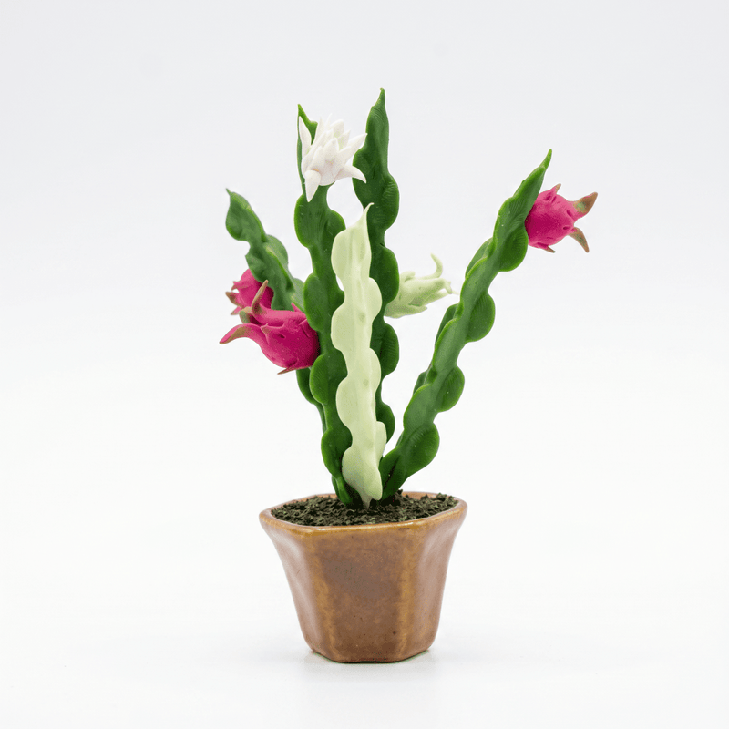 THAI DRAGON FRUIT TREE FRIDGE MAGNET - PICKITT MARKET