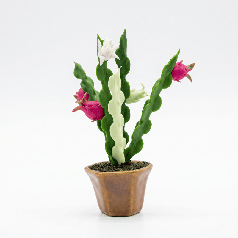 THAI DRAGON FRUIT TREE FRIDGE MAGNET - PICKITT MARKET