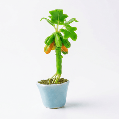 THAI PAPAYA TREE FRIDGE MAGNET - PICKITT MARKET