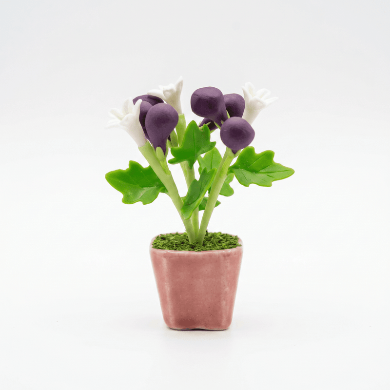 THAI PLUM FLORA FRIDGE MAGNET - PICKITT MARKET