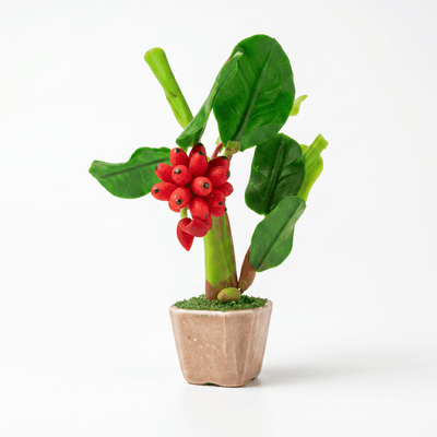THAI RED BANANA TREE FRIDGE MAGNET - PICKITT MARKET