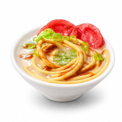TOKYO TOMATO TWIST RAMEN BOWL MAGNET - PICKITT MARKET